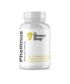 Phellinus Mushroom Capsules