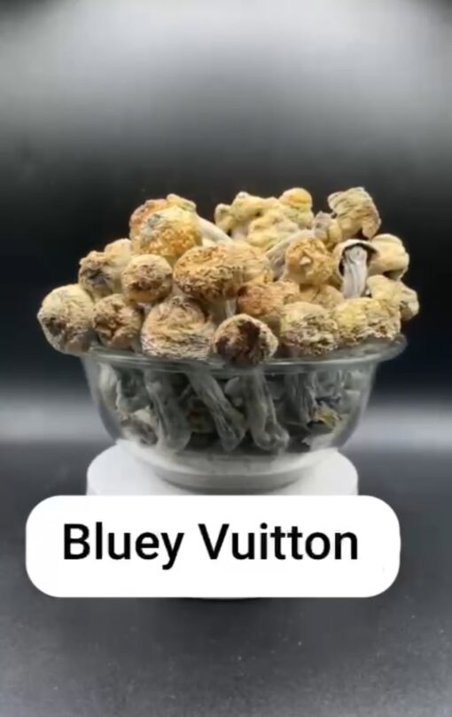 Bluey Vuitton Mushroom