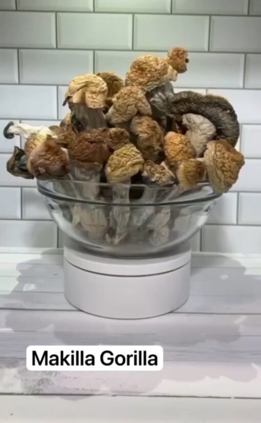Makilla Gorilla Mushroom