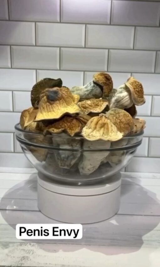 Penis Envy Mushroom