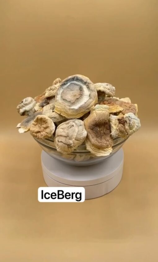 IceBerg Mushroom