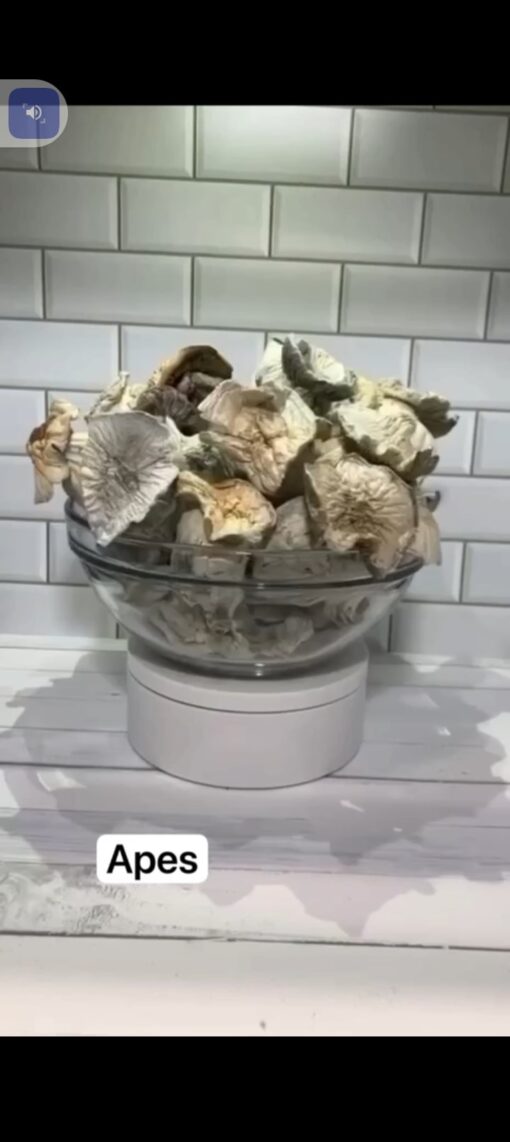 Apes mushroom