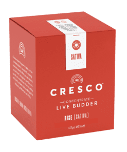 Chem X Sativa Live Resin Budder 1g