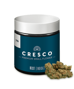 Sherbscotti x Kush Mints Indica Premium Small Flower 7g