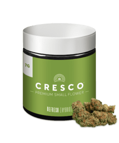 Triangle Gelato Hybrid Premium Small Flower 7g