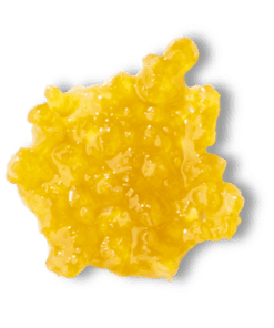 Tropicana Cookies Live Resin Sauce 0.5g